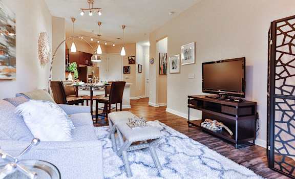 Living Room at Elizabeth Square Apartments in Charlotte, NC 