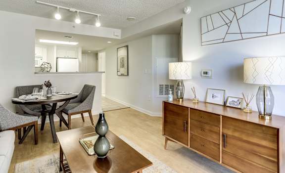 ballston place apartments living room hardwood floors