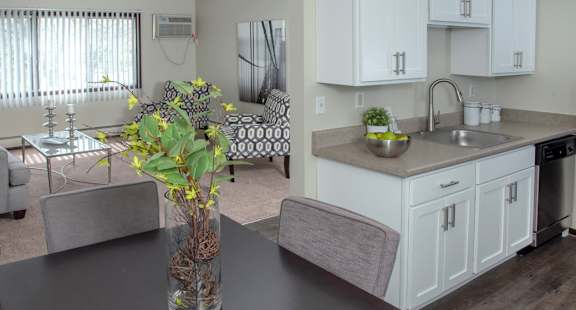 60010th_Mpls_living-kitchen-dining1