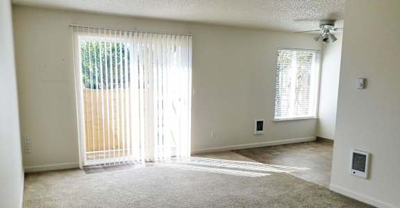 Living room and dining room