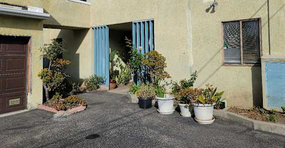 the outside of a building with potted plants in front of it