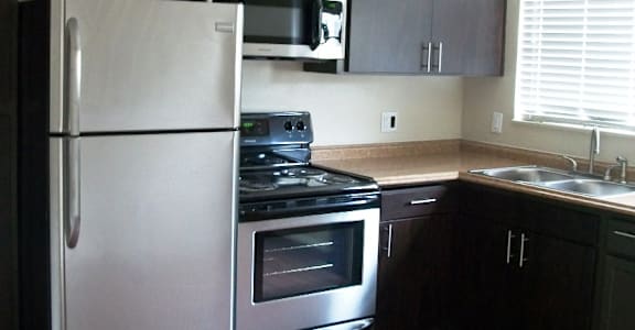PalmVillas_Kitchen_Apartments