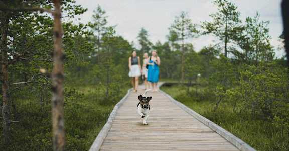 two women and a dog walking on a wooden dock