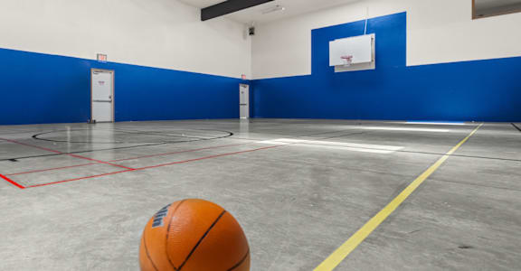a basketball court in a gym with a orange ball