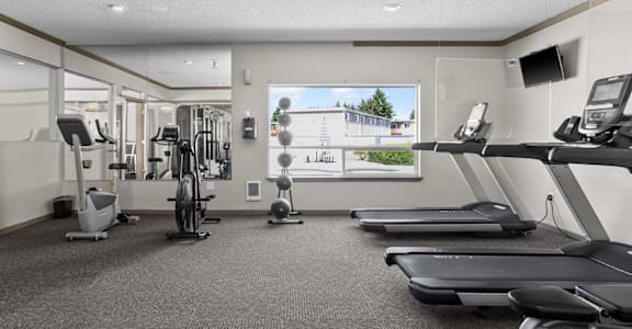 a gym with treadmills and weights and a window
