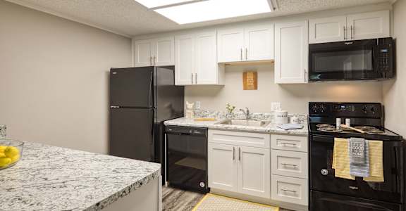 Sea Pines kitchen