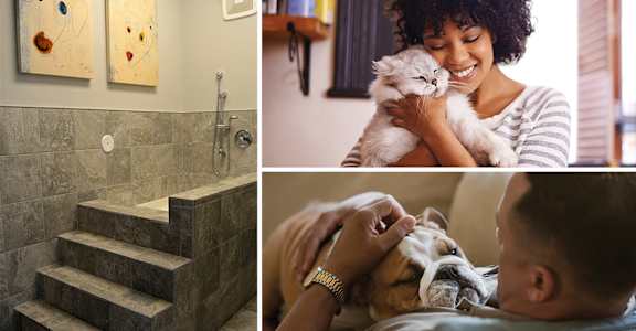 Amenities at Piazza on West Pine, Saint Louis