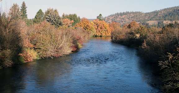 River through the trees