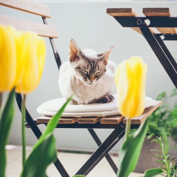 The Flats at Summit Station Apartments in South Park, PA