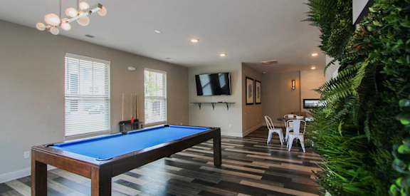 A pool table in a room with a television and a plant.