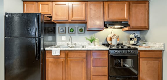 apartment kitchen with appliances