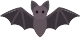 Bird image
