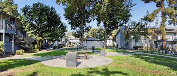 A park with a bench and a tree.