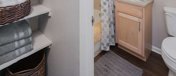 Bathroom shot with shelvings and cabinetry at Eden Commons, Illinois, 60616