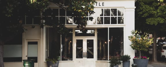 White store front with large windows and a dark green tree covering the upper left corner. To the right are cars parked in the street.