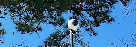 A security camera is mounted on a pole.
