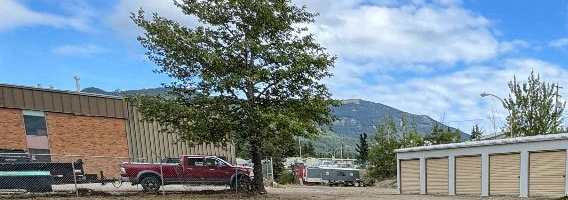 A tree stands in a field with a red truck and a building in the background.