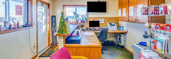 A Christmas tree is in the window of a business.