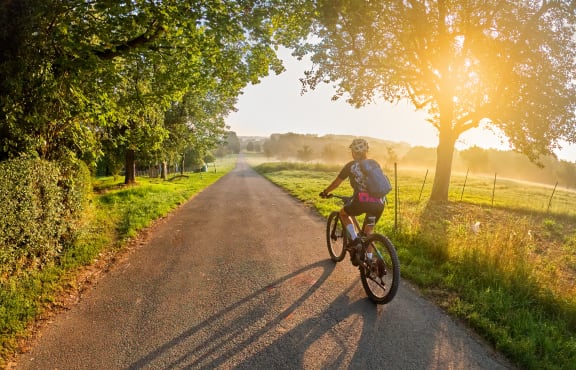 a person riding a bike on a road with trees on both sides of the road