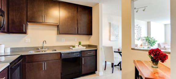 Fully Equipped Kitchens at Bolero Flats Apartments, Minneapolis, 55403