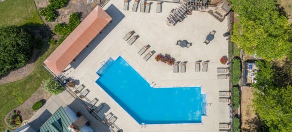 arial view of the pool at the resort at paws up