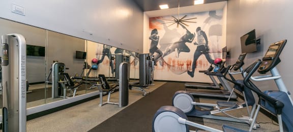 the gym at briarcliff apartments at Briarcliff Apartments, Georgia
