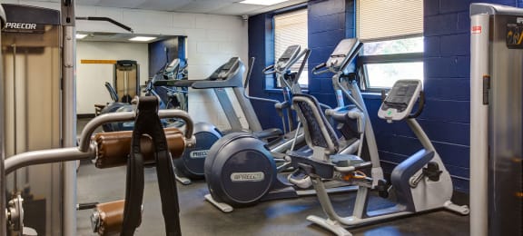 a gym with cardio equipment and weights in a building at Willow Hill Apartments, Justice, Illinois