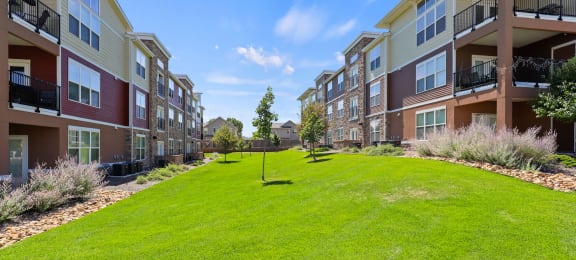 grass courtyard between apartment buildings at Ridge at Thornton Station Apartments, Colorado