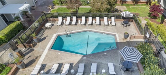 an aerial view of a pool with chairs and umbrellas at Delphine on Diamond, San Francisco, California