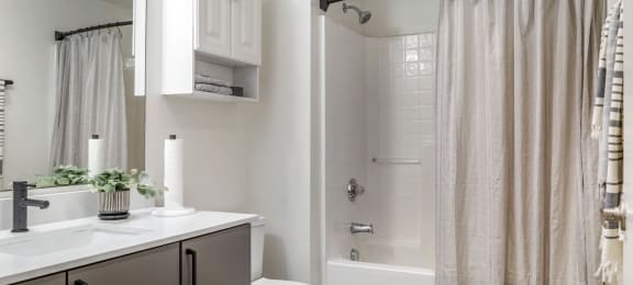 a bathroom with a shower and a sink and a toilet at Highland Mill Lofts, Charlotte, North Carolina