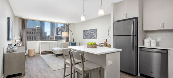 a kitchen and living room with a refrigerator and a sink at River North Park Apartments, Illinois, 60654