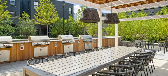 Grill Stations at River North Park Apartments, Chicago, Illinois