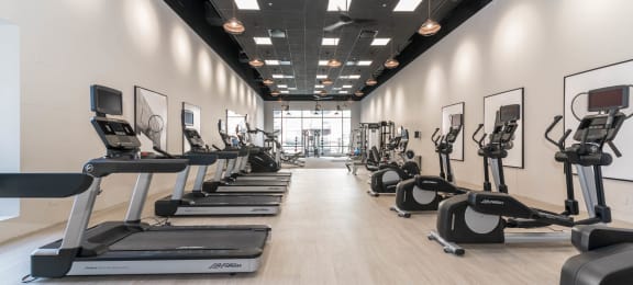 Cardio Machines In Gym at River North Park Apartments, Illinois, 60654