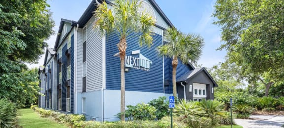 palm trees at Nextloft in Bluffton, South Carolina