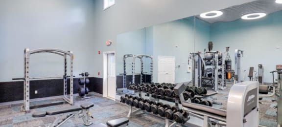 Full size gym with free weights