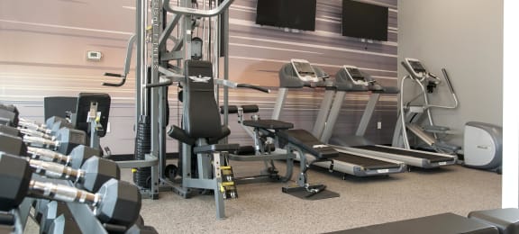 Strength Equipment and Treadmills