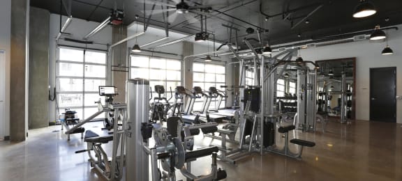 Training Equipment in Gym