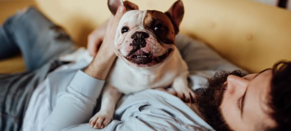 Pet Friendly apartments for your furry friends