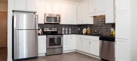 Kitchen with no island, white cabinet finishes and stainless steel appliances