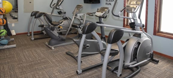 Ellipticals and other workout equipment face a TV as well as two bright windows.