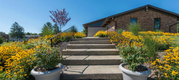 a stone staircase leading up to a brick building with yellow flowers on either side