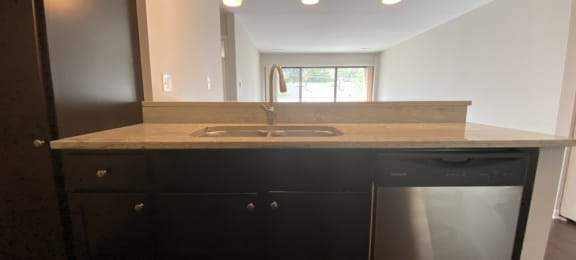 Double sink with tons of counter space