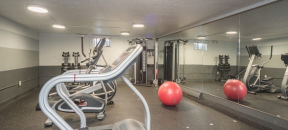 Great gym space