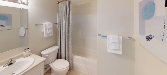 Bathroom with sink, toilet, shower and tub