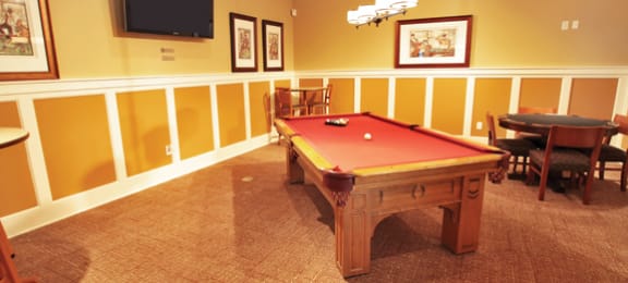 Game Room with Billiard Table
