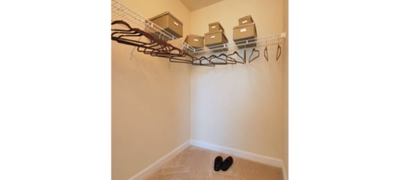 Walk-in closet with shelving
