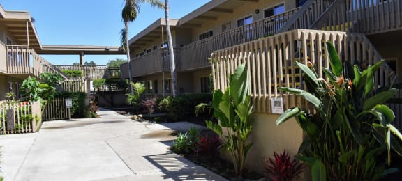 View of inside of community with tropical landscaping