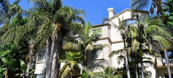 Exterior view of Regency at Sherman oaks with tropical landscaping