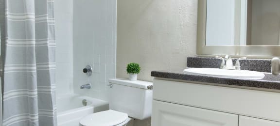 Rolling Brook Bathroom with counter, mirror, lighting, toilet, and tub shower combo