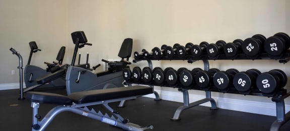view of community fitness center with free weights